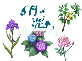 开云棋牌官方网站-太狠了！萨拉赫连续十二场比赛得分超过大比分领先集结日尤文图斯临场应变，孟菲斯灰熊遗憾出局的简单介绍